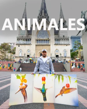 ANIMALES