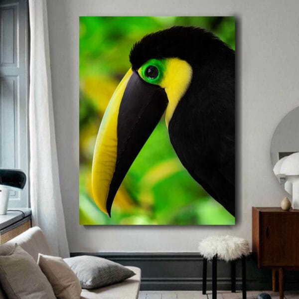 Tucan del Choco