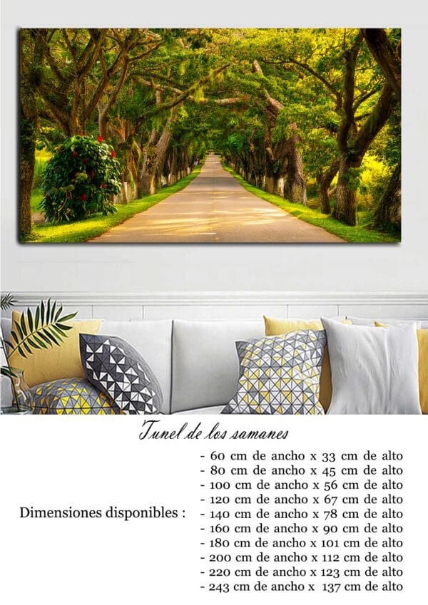 Tunel de los samanes - Image 2