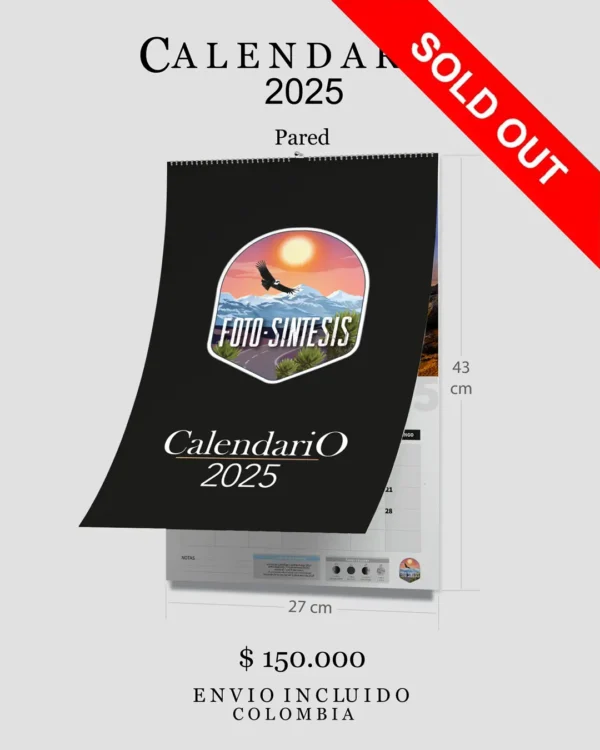Calendario Pared 2025