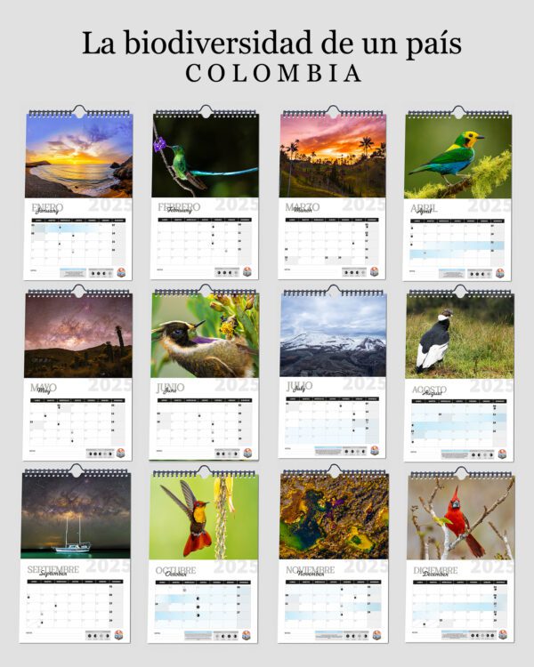 Calendario Pared 2025 - Image 3